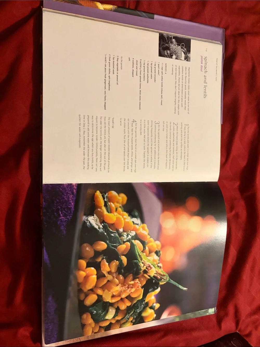 Food of the World: India Cookbook - Purple Cover with Spice Photo